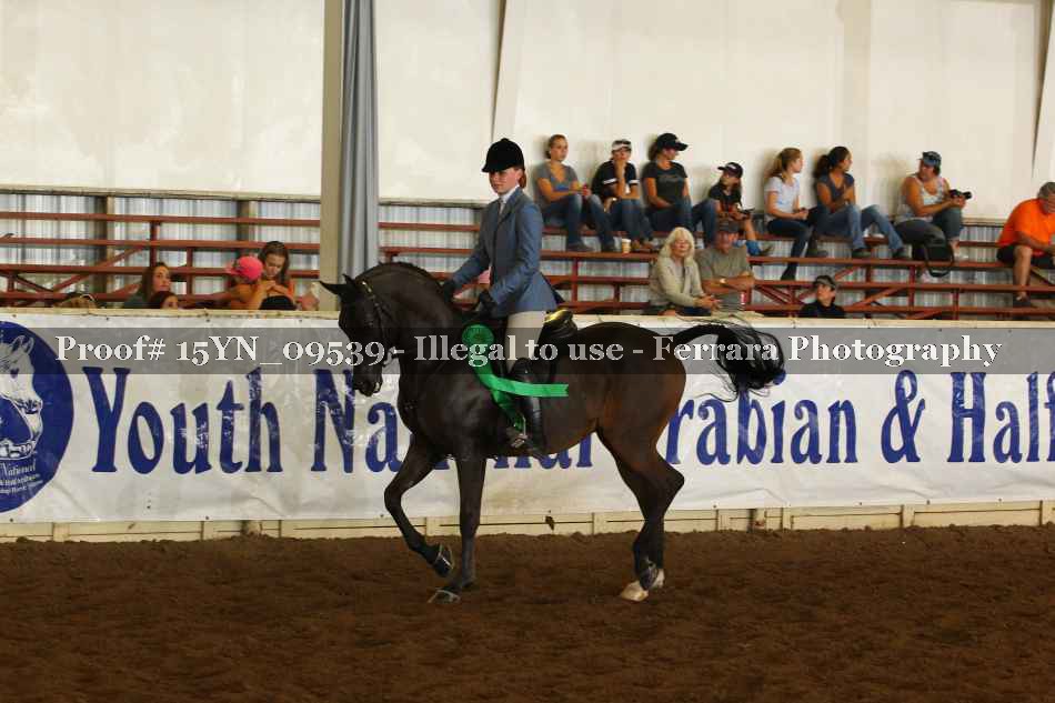 Proof 15YN_09539