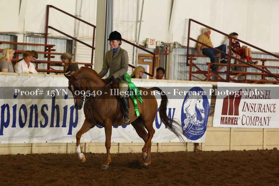Proof 15YN_09540
