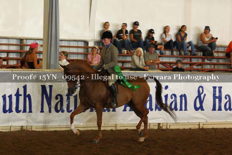 Proof 15YN_09542