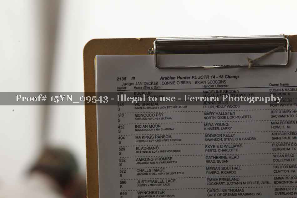 Proof 15YN_09543