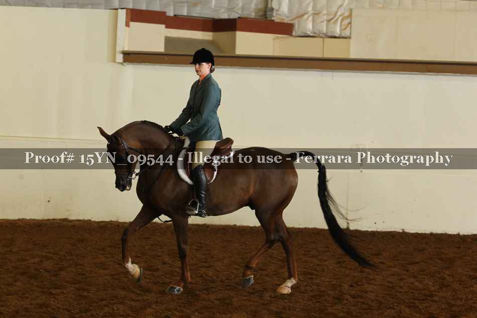 Proof 15YN_09544