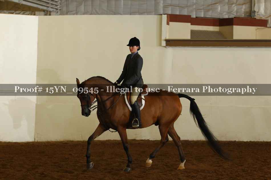 Proof 15YN_09545