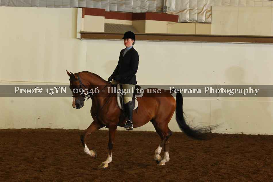 Proof 15YN_09546