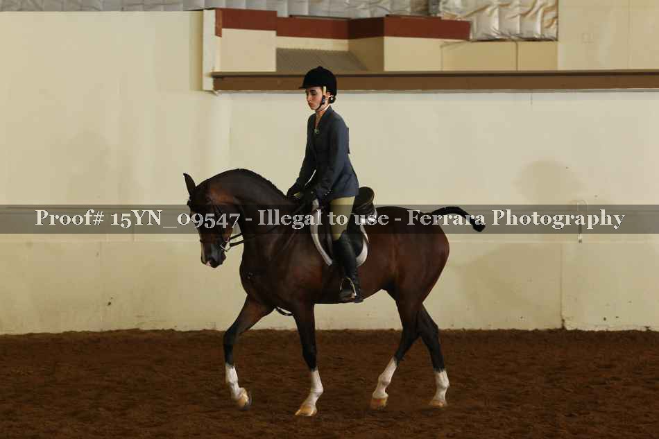 Proof 15YN_09547