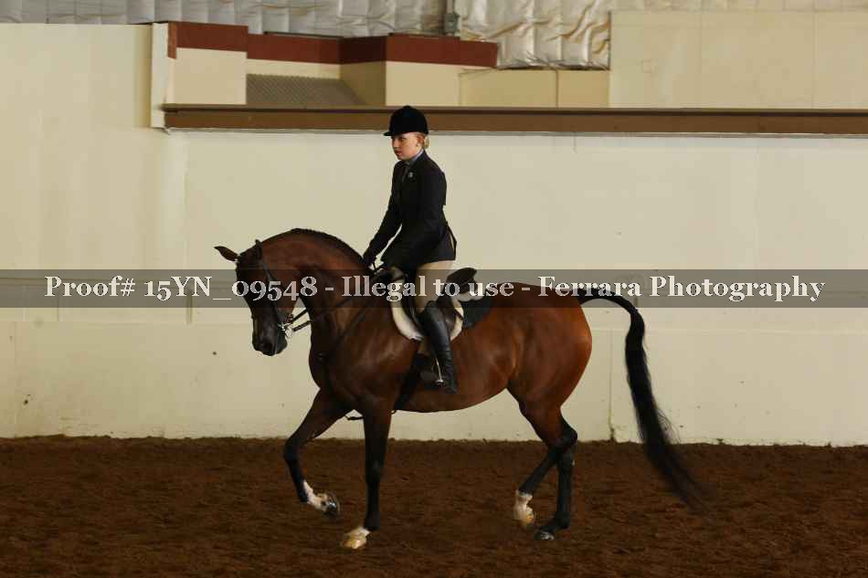 Proof 15YN_09548
