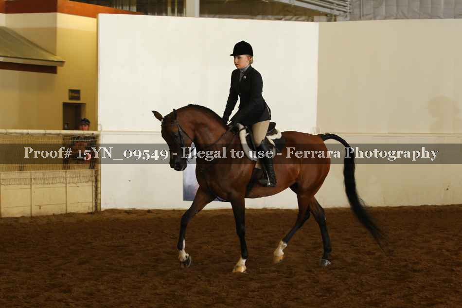 Proof 15YN_09549