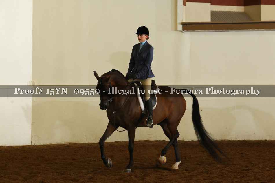 Proof 15YN_09550