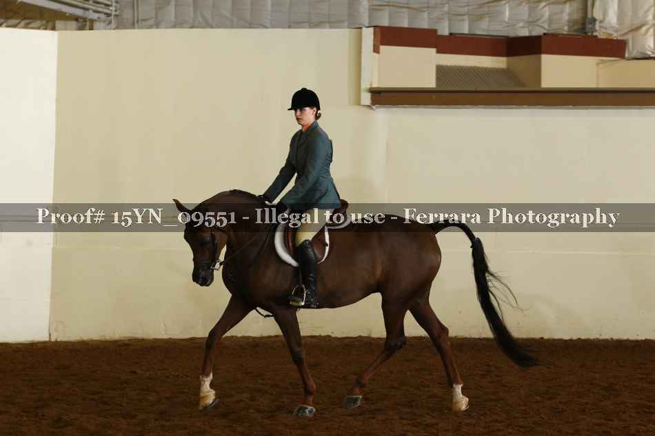 Proof 15YN_09551