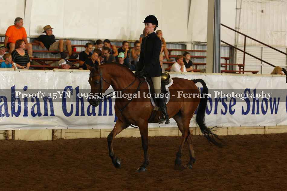Proof 15YN_09553
