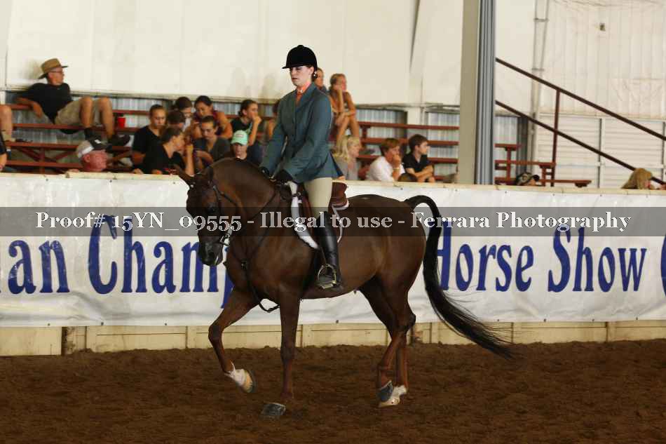 Proof 15YN_09555