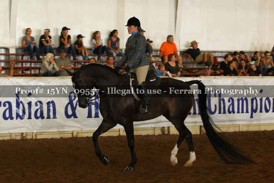 Proof 15YN_09557