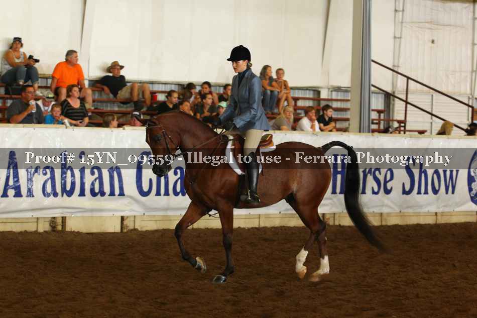 Proof 15YN_09559