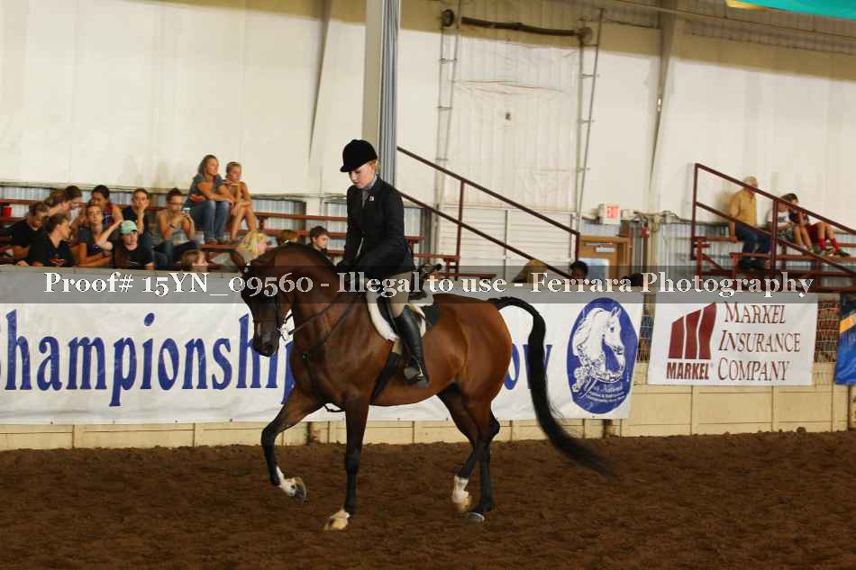 Proof 15YN_09560