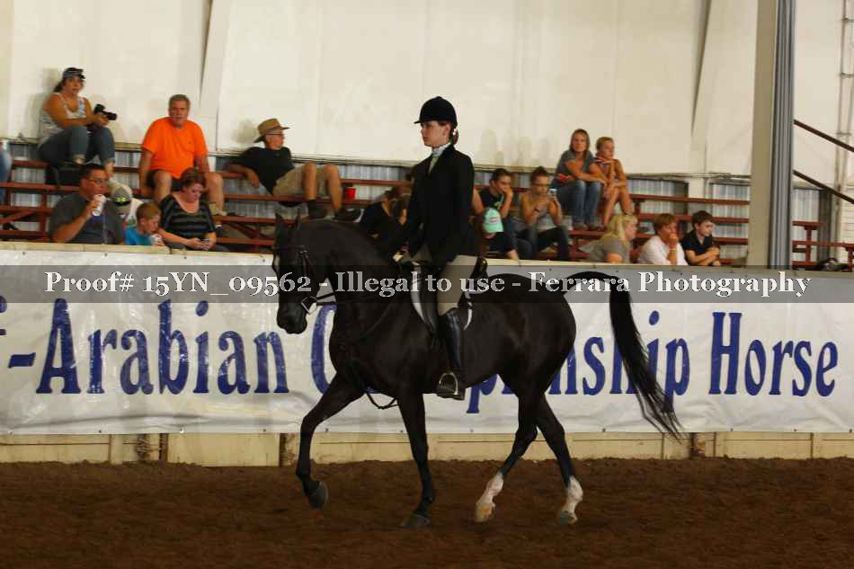 Proof 15YN_09562
