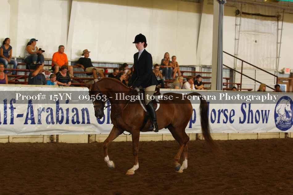 Proof 15YN_09563