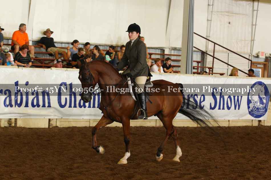 Proof 15YN_09565