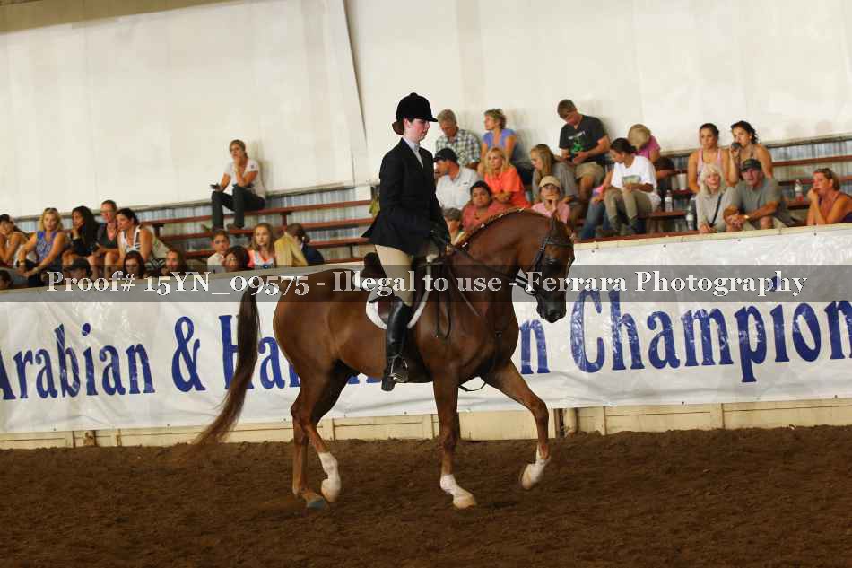 Proof 15YN_09575