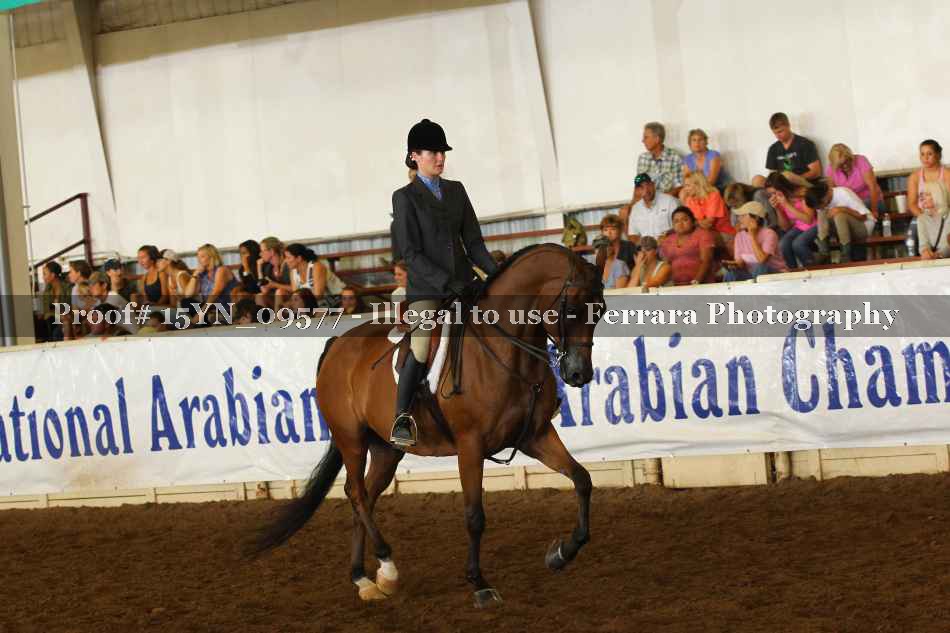 Proof 15YN_09577