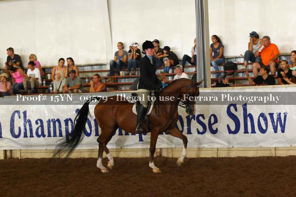 Proof 15YN_09579