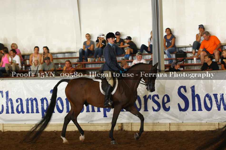 Proof 15YN_09580