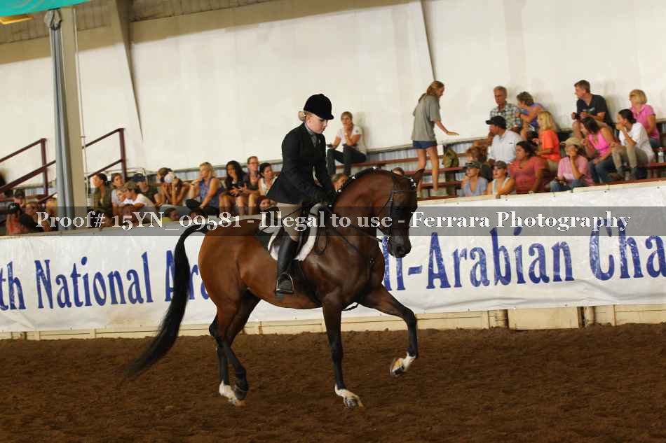 Proof 15YN_09581