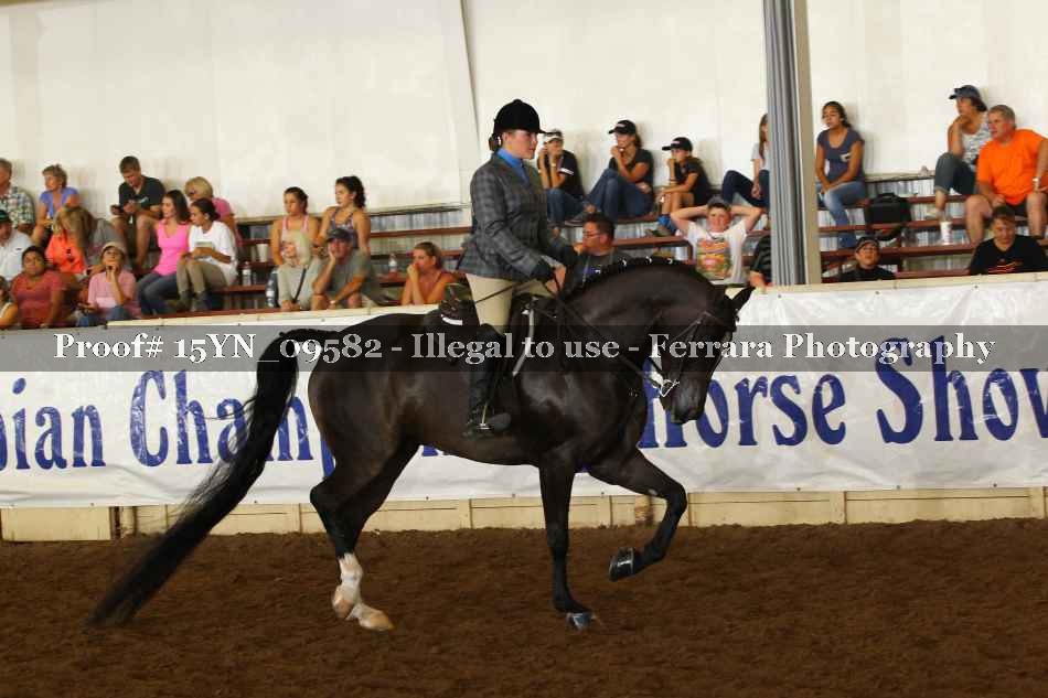Proof 15YN_09582
