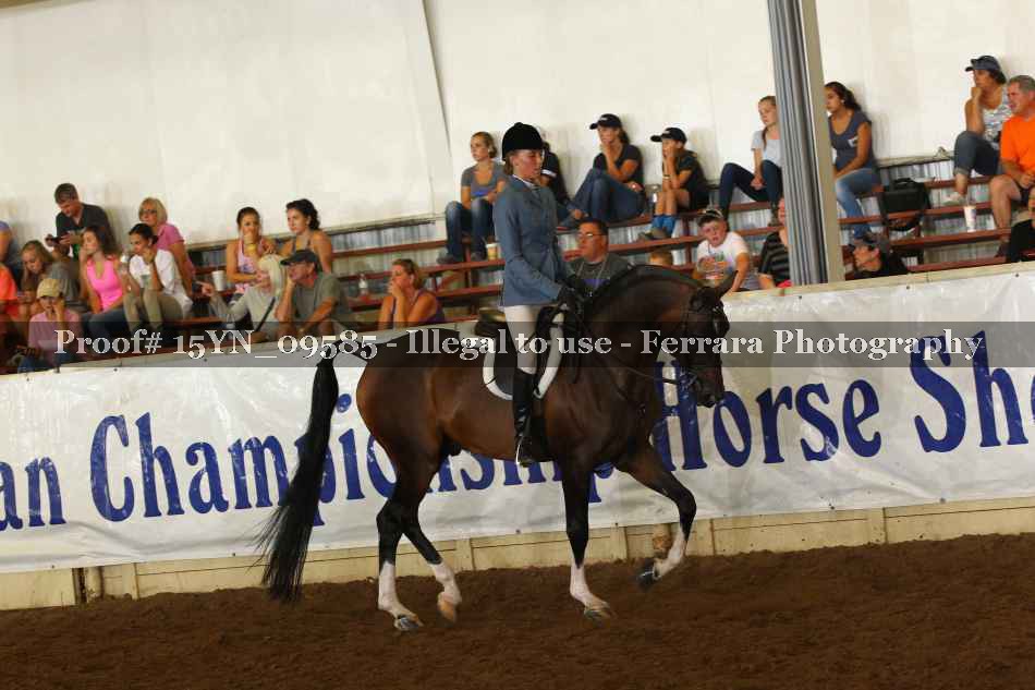 Proof 15YN_09585