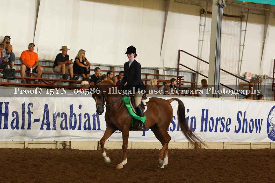 Proof 15YN_09586