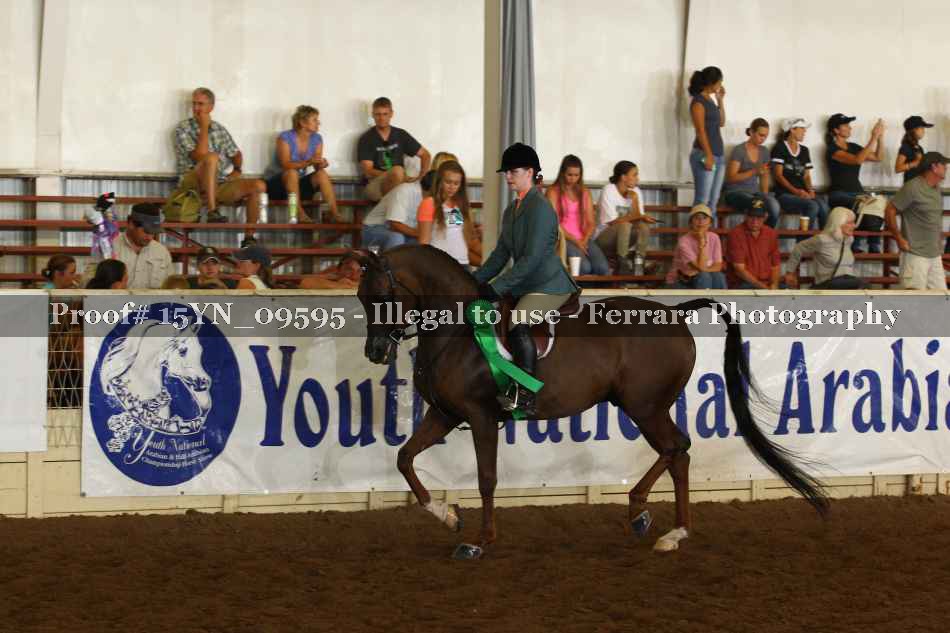 Proof 15YN_09595