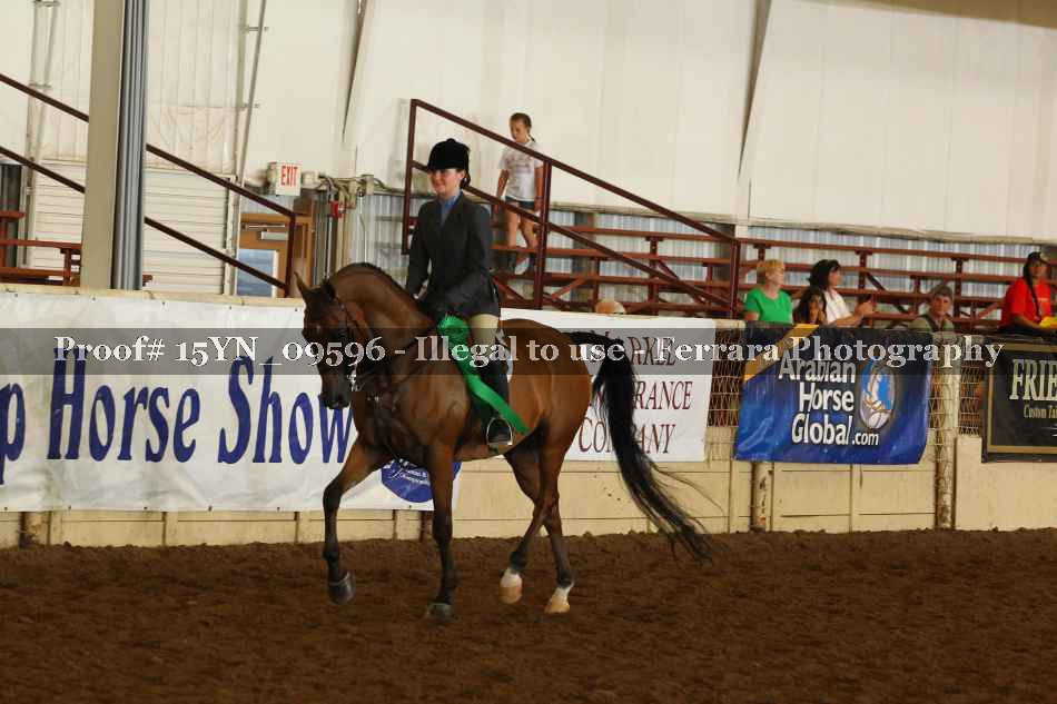 Proof 15YN_09596
