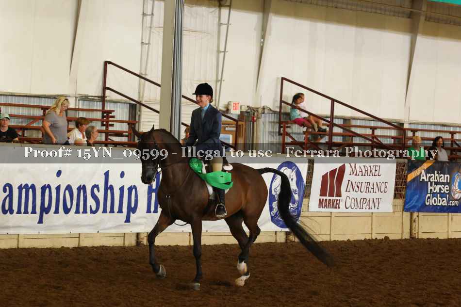Proof 15YN_09599