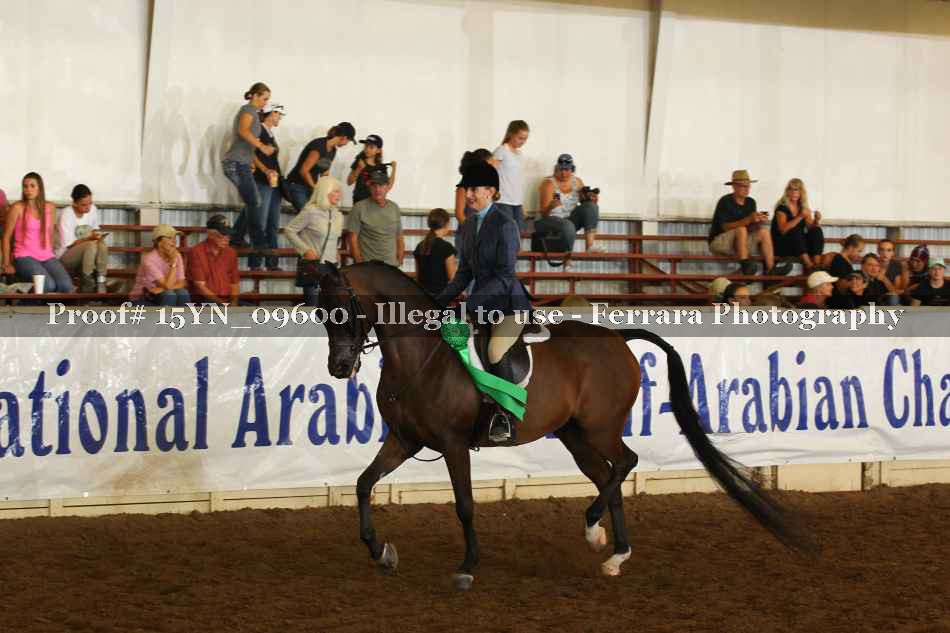 Proof 15YN_09600