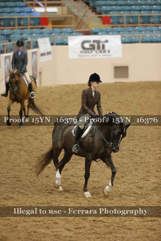 Proof 15YN_16376
