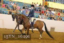 15YN_16401 proof
