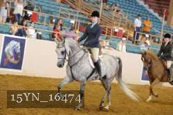 15YN_16474 proof