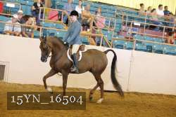 15YN_16504 proof