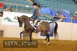 15YN_17402 proof