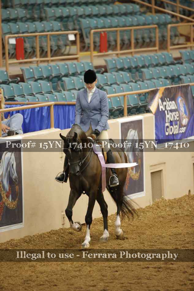 Proof 15YN_17410