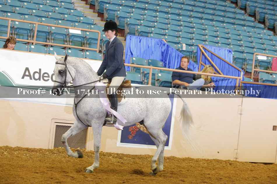 Proof 15YN_17411