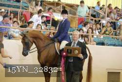 15YN_32832 proof