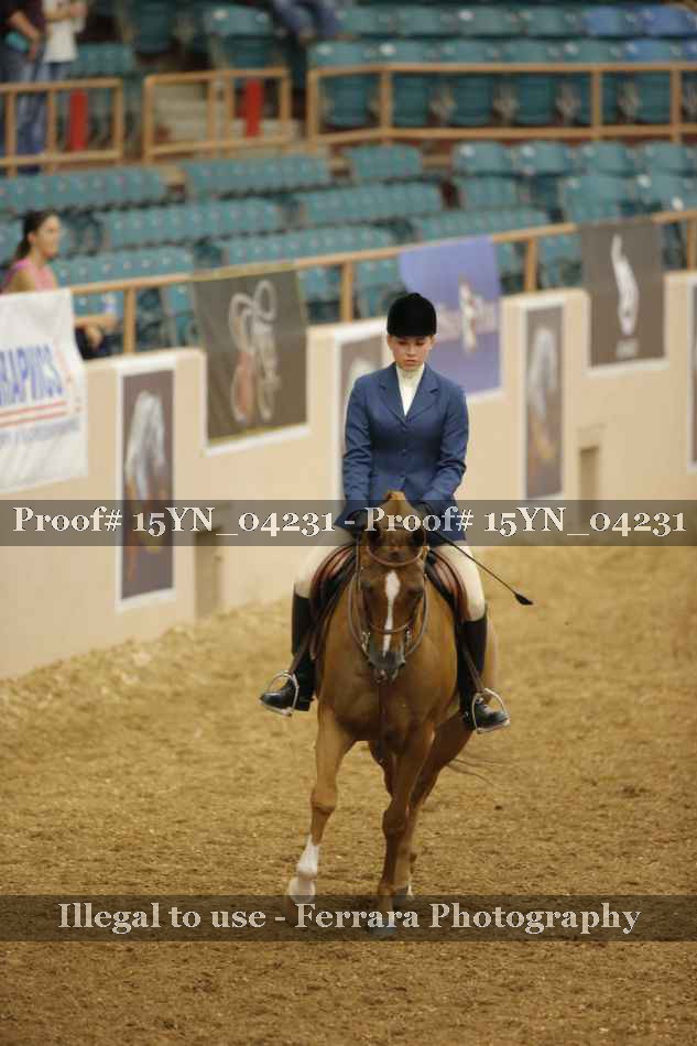 Proof 15YN_04231