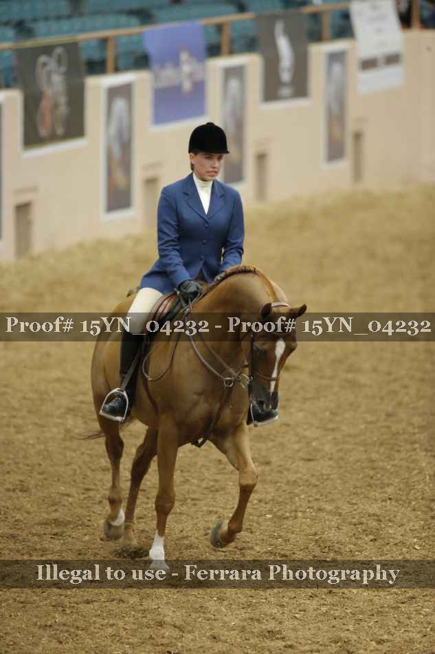 Proof 15YN_04232