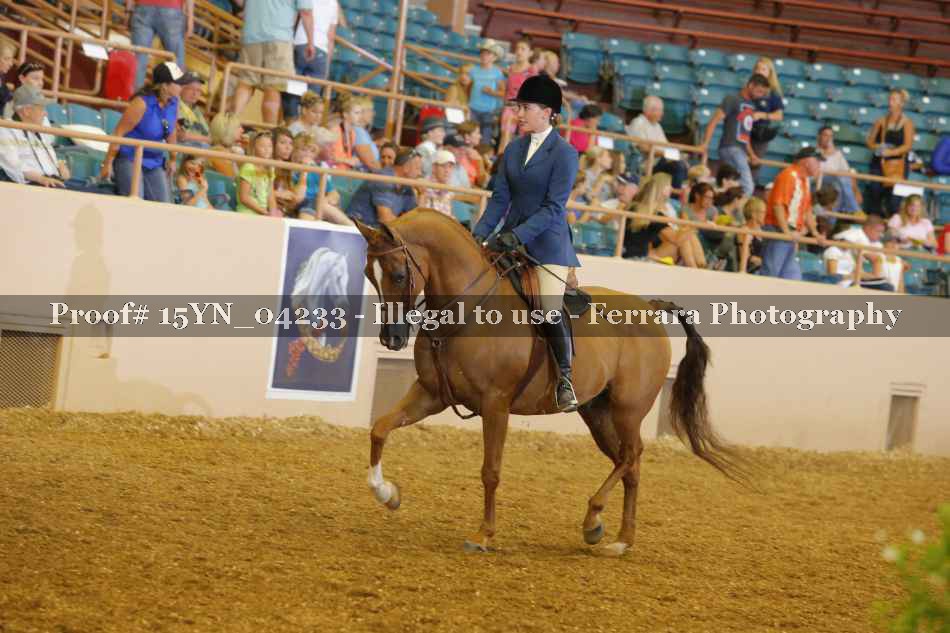 Proof 15YN_04233