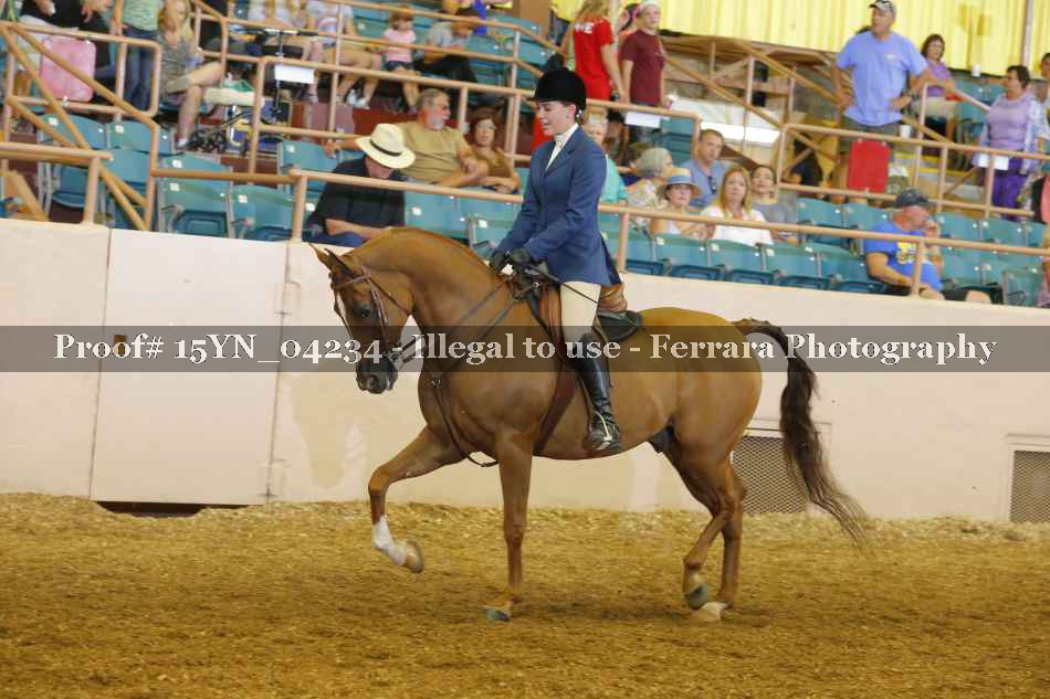Proof 15YN_04234