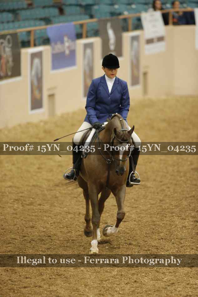 Proof 15YN_04235