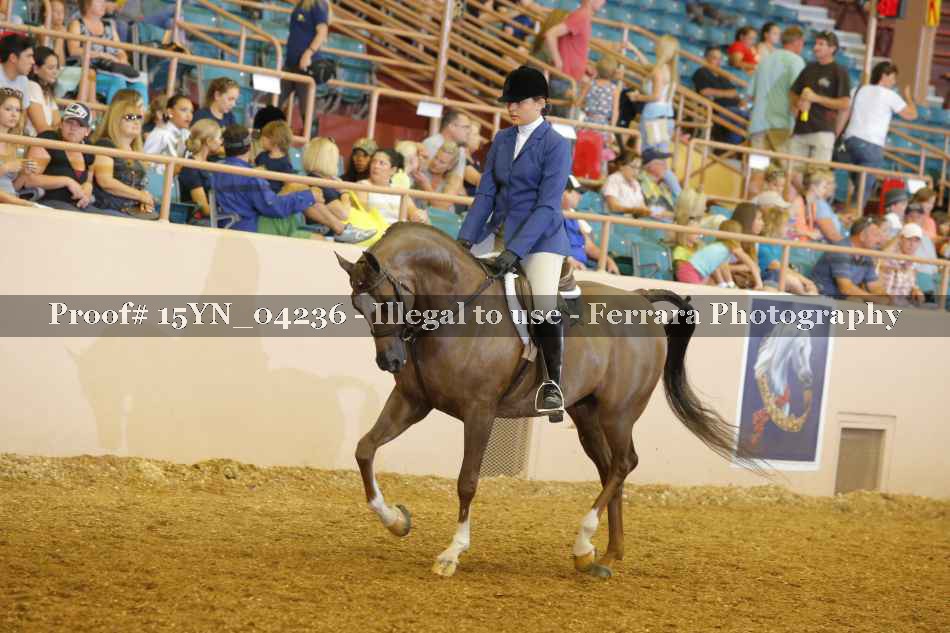 Proof 15YN_04236