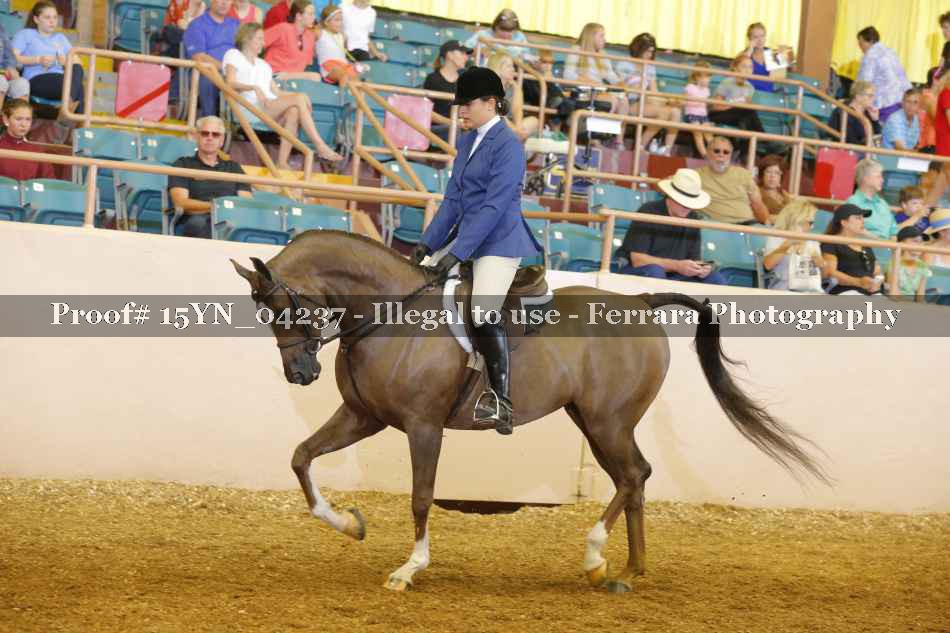 Proof 15YN_04237