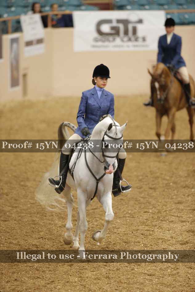 Proof 15YN_04238