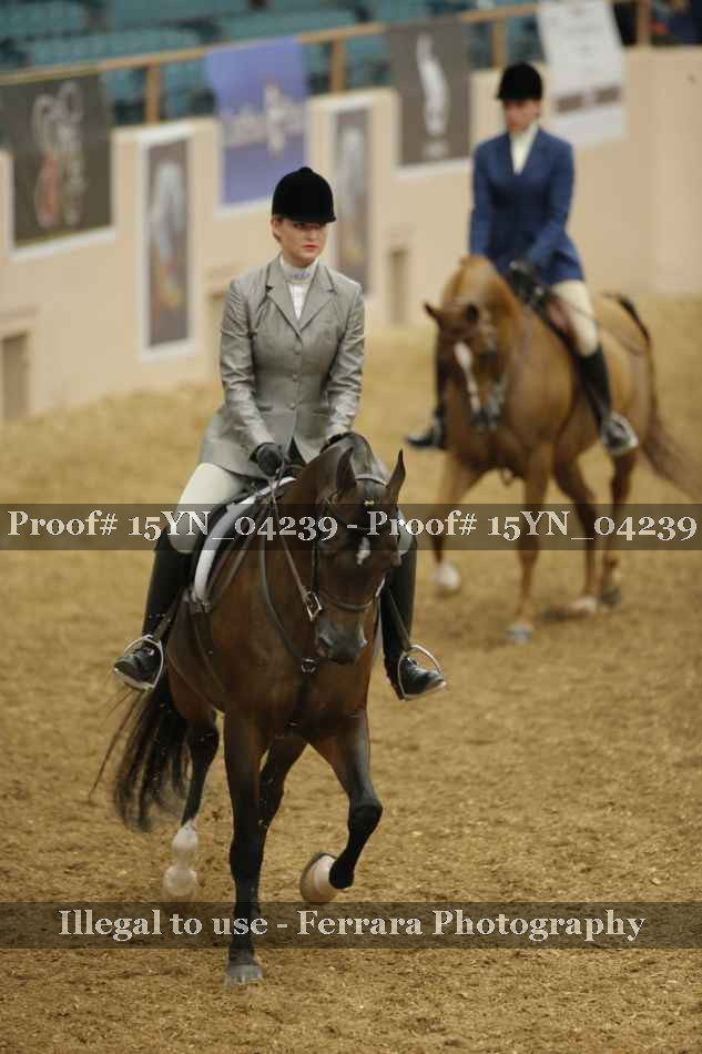 Proof 15YN_04239