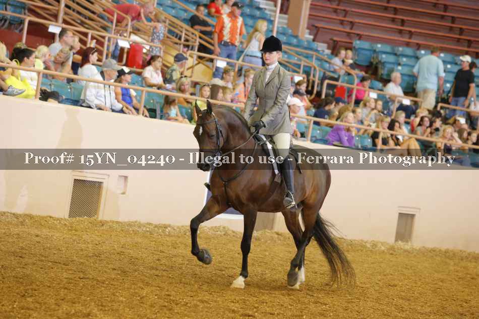 Proof 15YN_04240